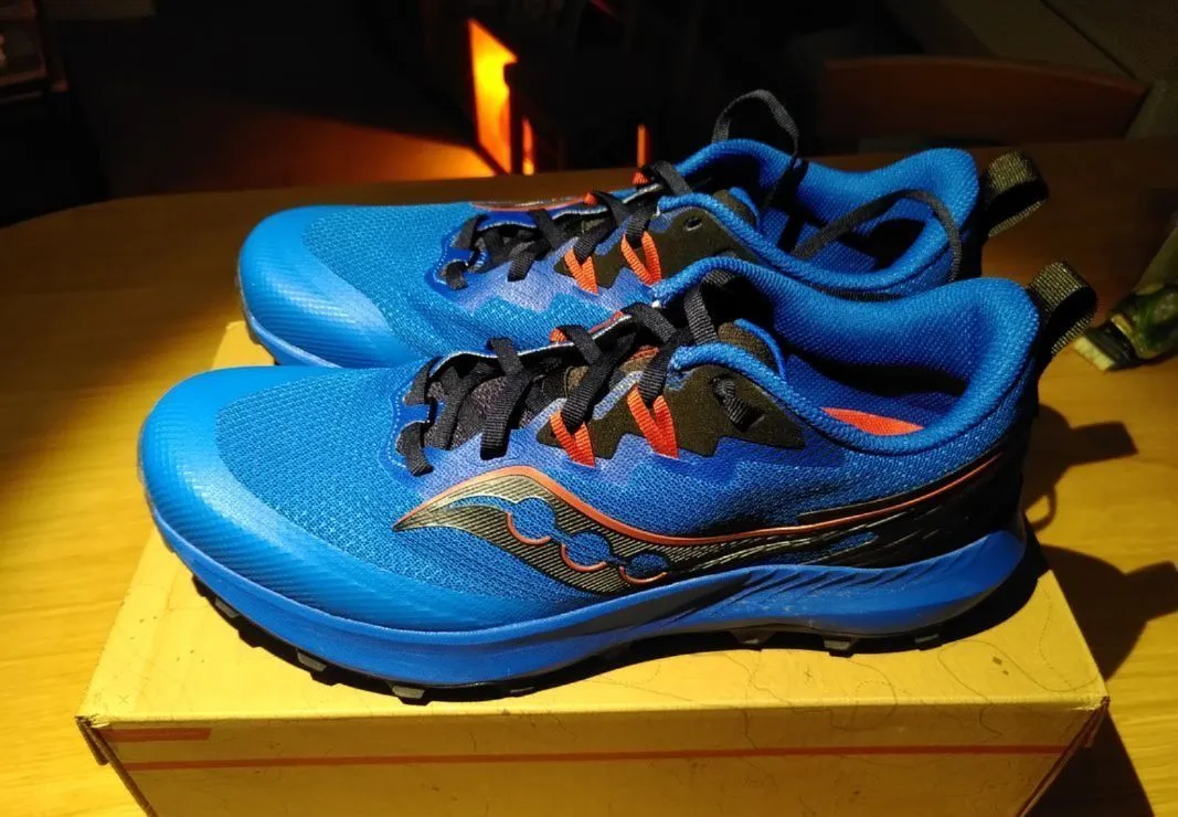 Chaussures de Running Saucony Peregrine 14 45