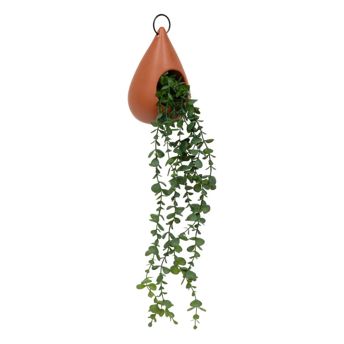 Plante suspendue goutte marron caramel | 3 Suisses